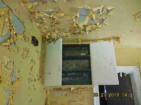 1431 Liddesdale (5)_m.jpg